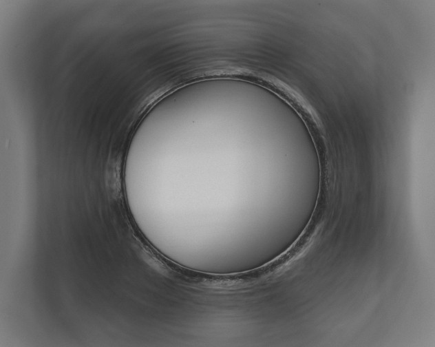 X0000110860889200906251206