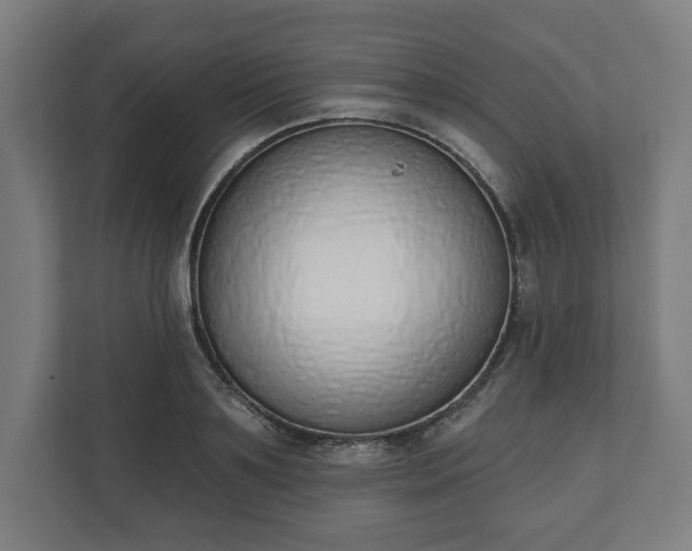 X0000110860891200906251206