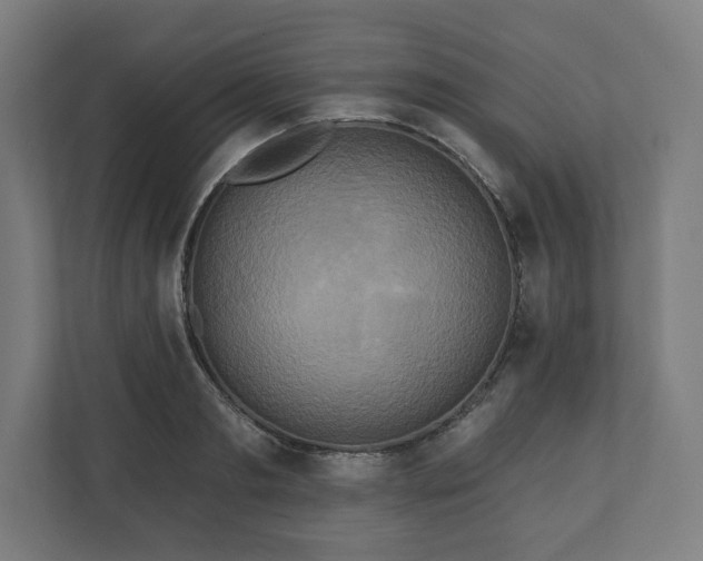 X0000110860893200906251206