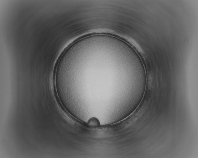 X0000110860895200906251206