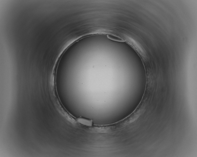 X0000110860900200906251206