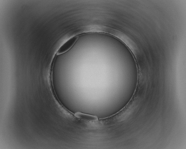 X0000110860901200906251206