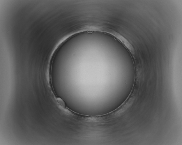 X0000110860904200906251206