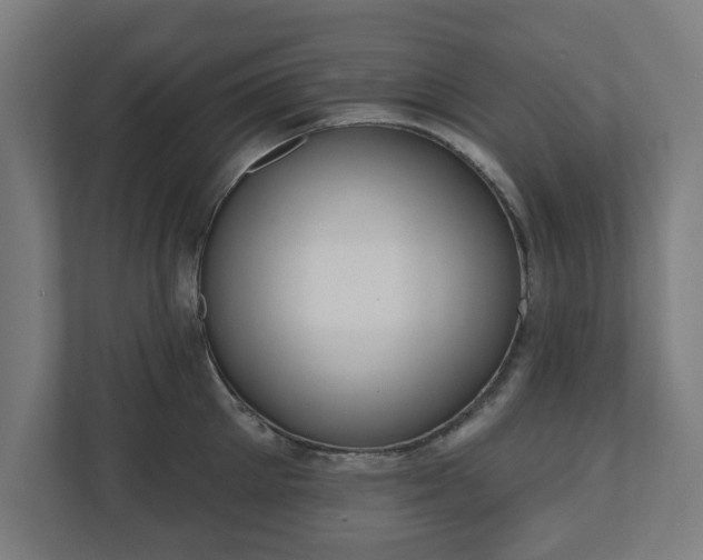 X0000110860905200906251206