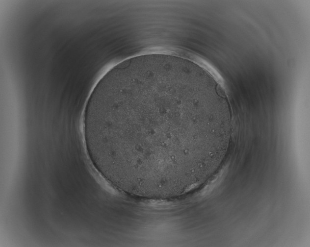 X0000110860907200906251206