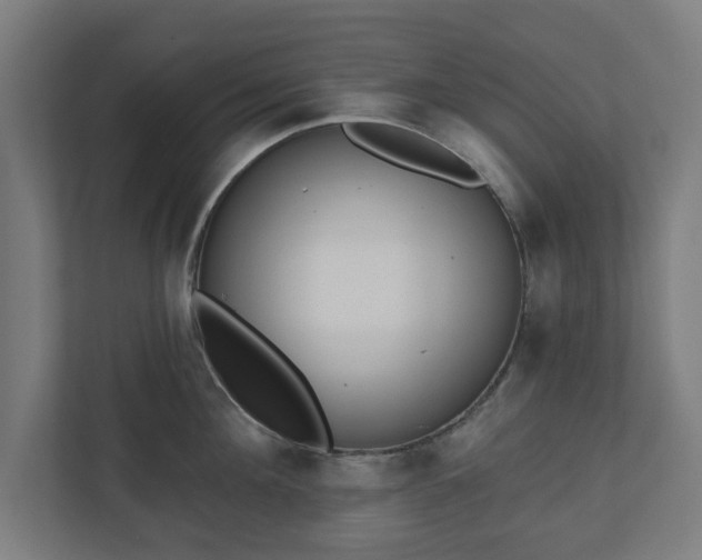 X0000110860908200906251206