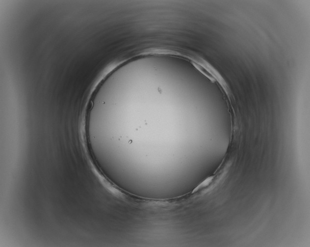 X0000110860909200906251206