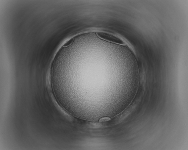 X0000110860911200906251206