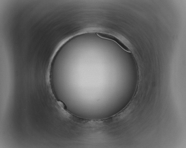 X0000110860912200906251206