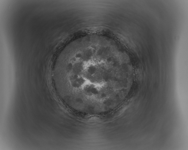 X0000110860913200906251205