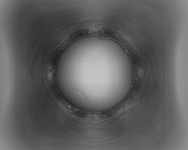 X0000110860914200906251205