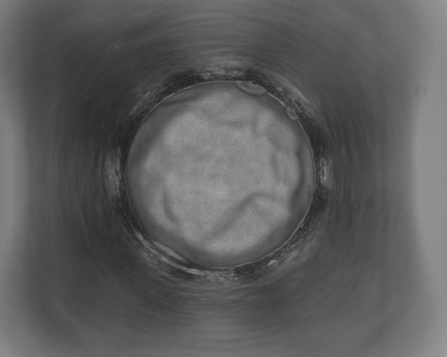 X0000110860915200906251205