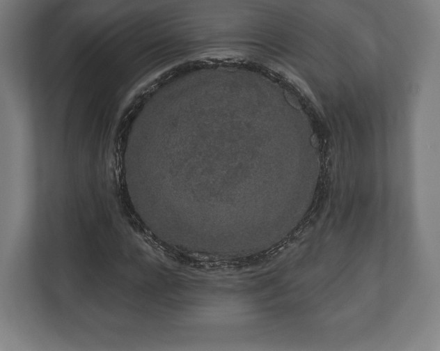 X0000110860920200906251205