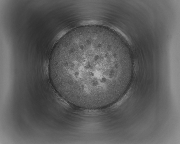 X0000110860921200906251205