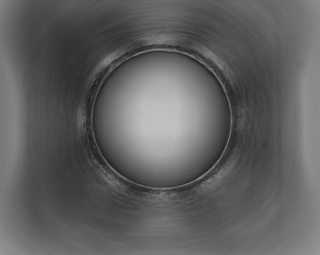 X0000110860922200906251205