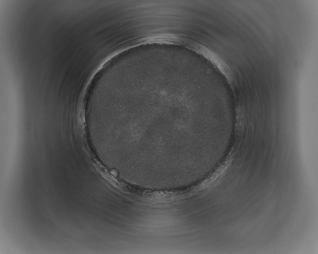 X0000110860923200906251205