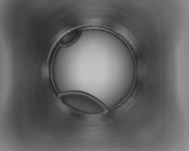 X0000110860924200906251205