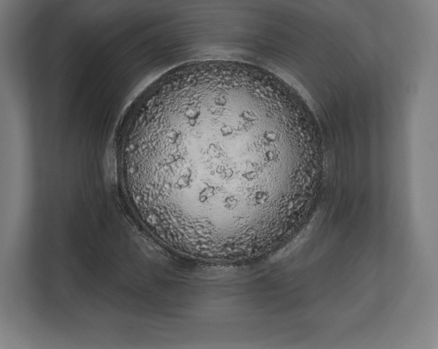 X0000110860925200906251205