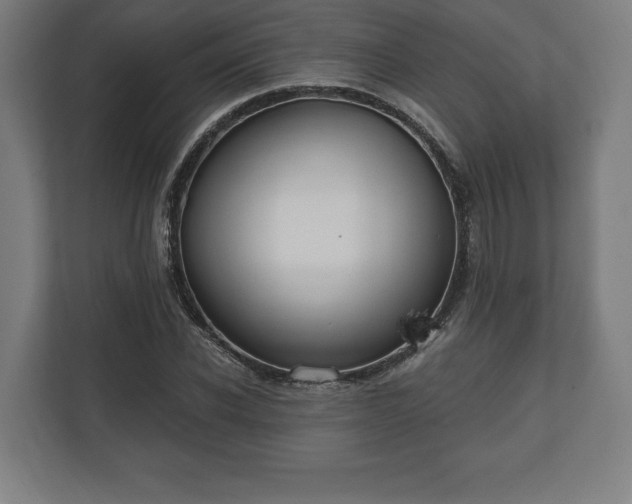 X0000110860926200906251205