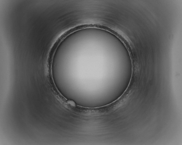 X0000110860927200906251205