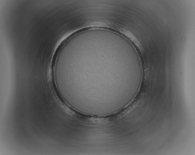 X0000110860928200906251205