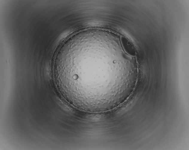 X0000110860930200906251205