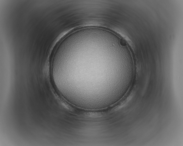 X0000110860933200906251205