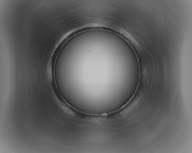 X0000110860934200906251205