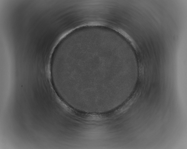 X0000110860935200906251205