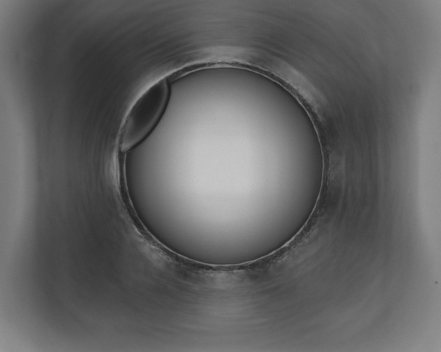 X0000110860936200906251205