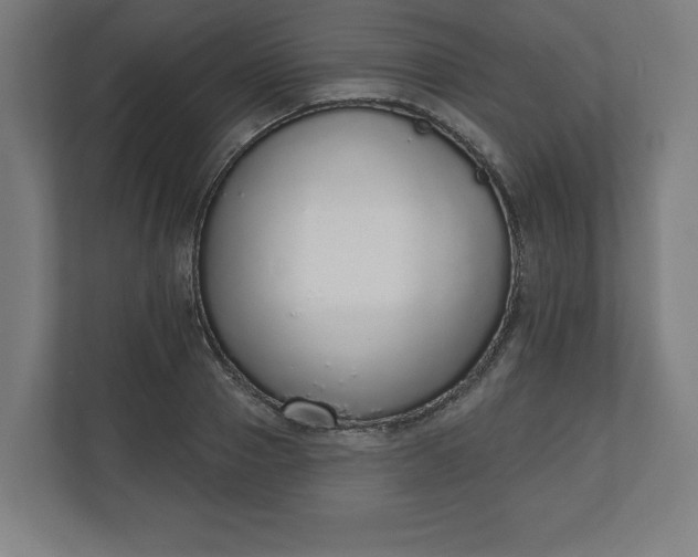 X0000110860937200906251205