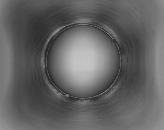 X0000110860939200906251205