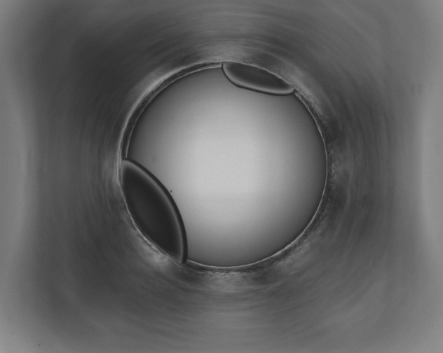 X0000110860940200906251205