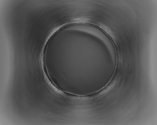 X0000110860941200906251205