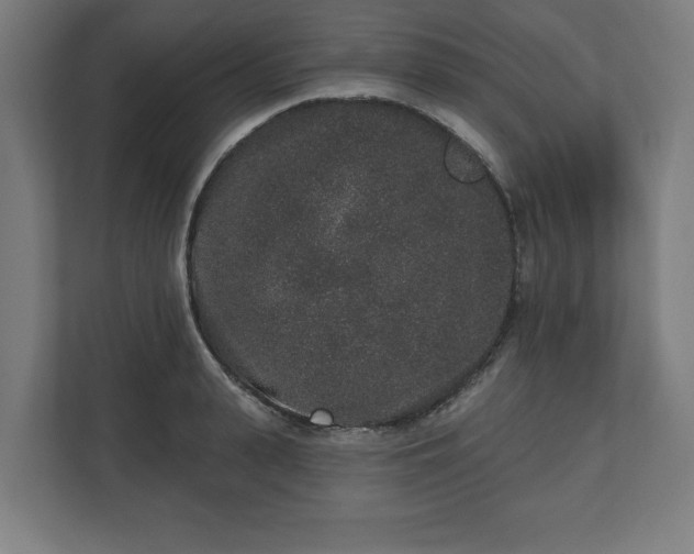 X0000110860943200906251205