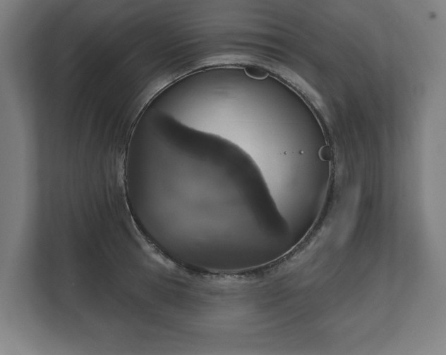 X0000110860945200906251205