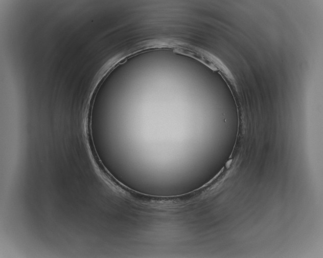 X0000110860946200906251205