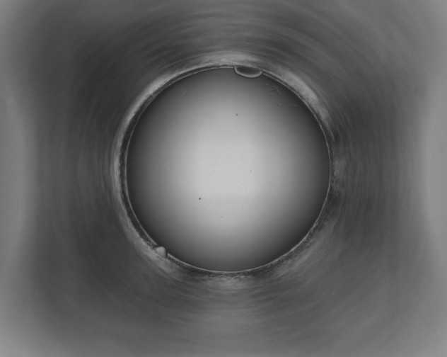 X0000110860947200906251206