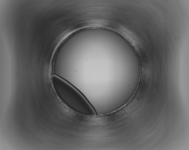 X0000110860948200906251206