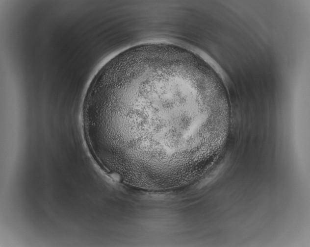 X0000110860951200906251206