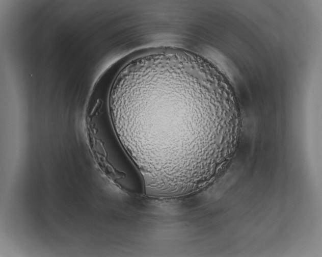 X0000110860952200906251206