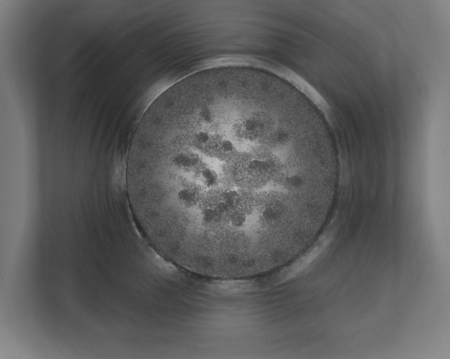 X0000110860953200906251206