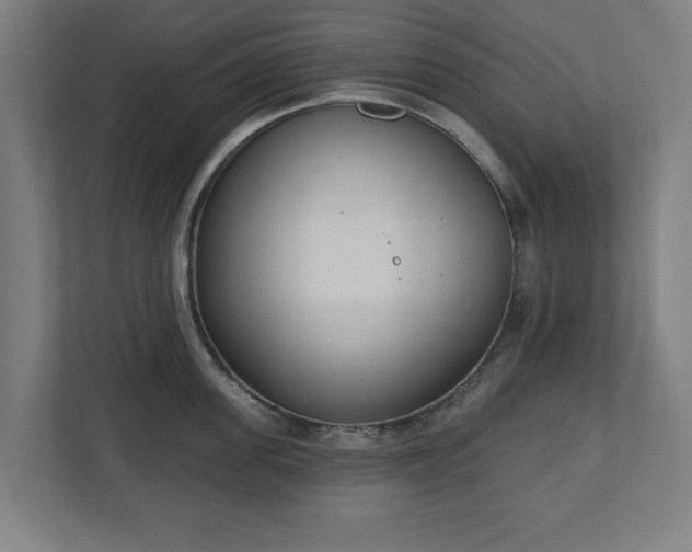 X0000110860955200906251206