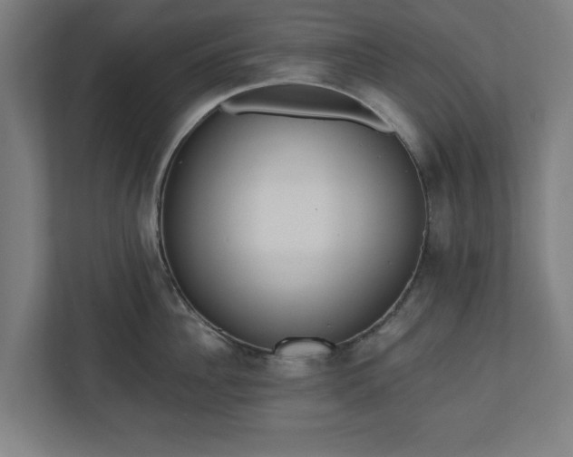 X0000110860956200906251206