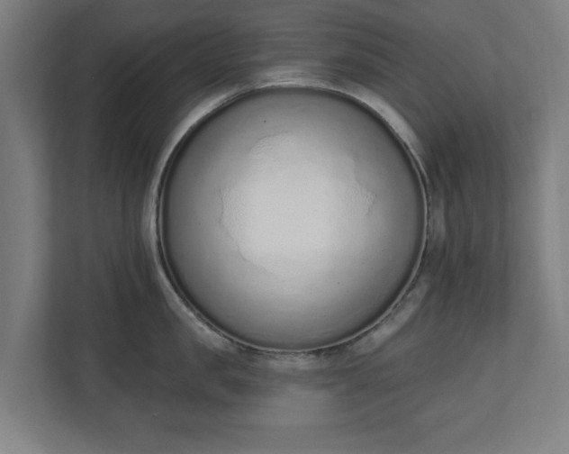 X0000110860957200906251206