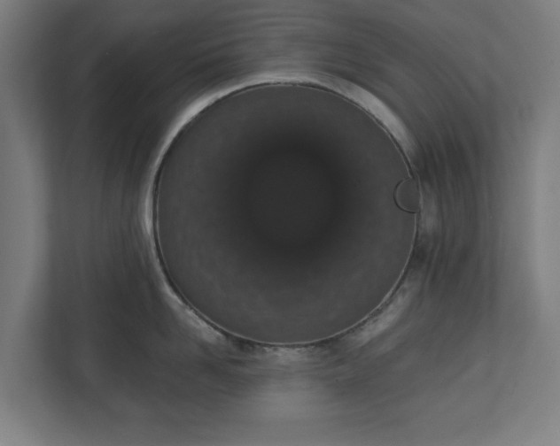 X0000110860958200906251206