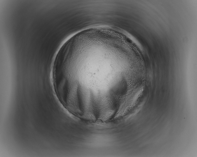 X0000110860959200906251206