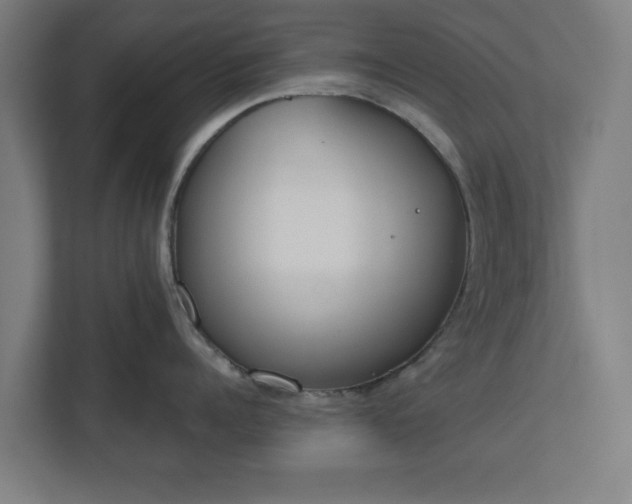 X0000110860960200906251206