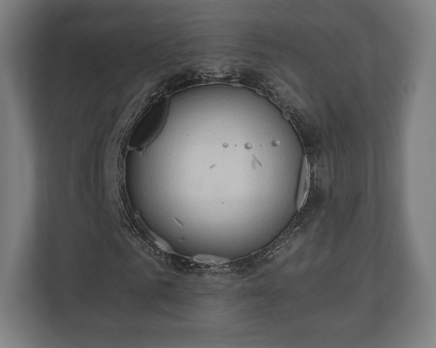 X0000110860961200906251205