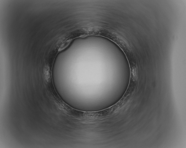 X0000110860963200906251205